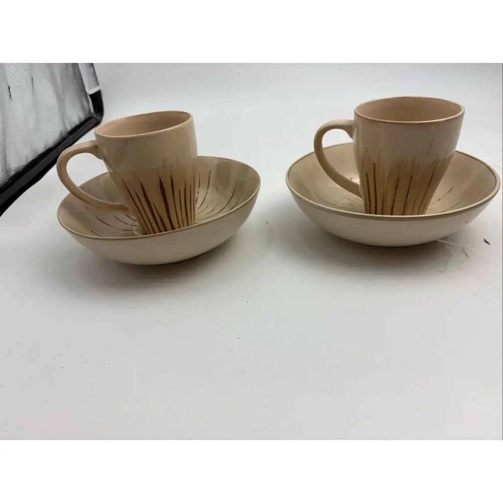 Pier 1 Sanctuary Stoneware Latte Mug & Soup/Pasta Bowl Set of 2 Place Settings